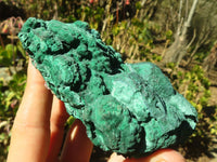 Natural Malachite Specimens x 2 From Congo