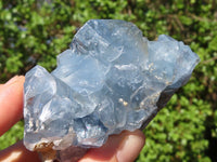 Natural Blue Celestite Crystal Specimens  x 5 From Sakoany, Madagascar - Toprock Gemstones and Minerals 