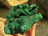 Natural Botryoidal Crystalline Malachite Specimen  x 1 From Kasompe, Congo