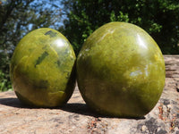 Polished Large Green Opal Palm Stones & Standing Free Forms  x 12 From Madagascar - TopRock