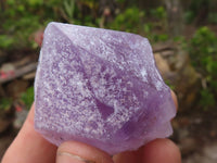 Natural Single Jacaranda Amethyst Crystals  x 12 From Mumbwa, Zambia - Toprock Gemstones and Minerals 