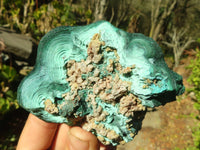 Natural Malachite Specimens x 2 From Congo