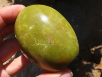 Polished Large Green Opal Palm Stones & Standing Free Forms  x 12 From Madagascar - TopRock