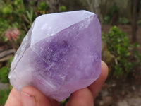 Natural Single Jacaranda Amethyst Crystals  x 12 From Mumbwa, Zambia - Toprock Gemstones and Minerals 