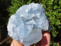 Natural Blue Celestite Crystal Specimens  x 5 From Sakoany, Madagascar - Toprock Gemstones and Minerals 