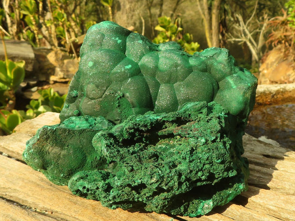 Natural Botryoidal Crystalline Malachite Specimen  x 1 From Kasompe, Congo