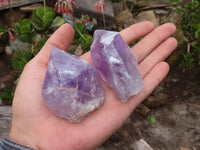 Natural Single Jacaranda Amethyst Crystals  x 12 From Mumbwa, Zambia - Toprock Gemstones and Minerals 