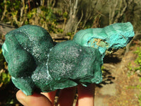 Natural Malachite Specimens x 2 From Congo