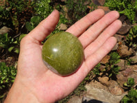 Polished Large Green Opal Palm Stones & Standing Free Forms  x 12 From Madagascar - TopRock