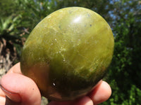 Polished Large Green Opal Palm Stones & Standing Free Forms  x 12 From Madagascar - TopRock