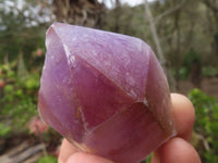 Natural Single Jacaranda Amethyst Crystals  x 12 From Mumbwa, Zambia - Toprock Gemstones and Minerals 