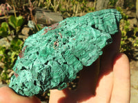 Natural Malachite Specimens x 2 From Congo