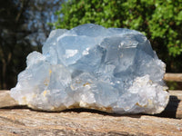 Natural Blue Celestite Crystal Specimens  x 5 From Sakoany, Madagascar - Toprock Gemstones and Minerals 