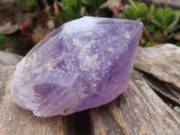 Natural Single Jacaranda Amethyst Crystals  x 12 From Mumbwa, Zambia - Toprock Gemstones and Minerals 