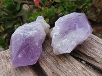 Natural Single Jacaranda Amethyst Crystals  x 12 From Mumbwa, Zambia - Toprock Gemstones and Minerals 