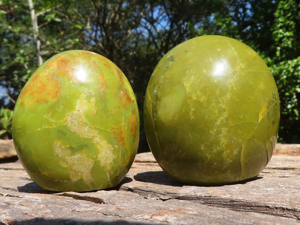 Polished Large Green Opal Palm Stones & Standing Free Forms  x 12 From Madagascar - TopRock