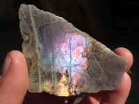 Polished One Side Polished Purple Flash Labradorite Slabs  x 12 From Tulear, Madagascar