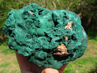 Natural Botryoidal Malachite Floater Nodule Specimen x 1 From Kolwezi, Congo - TopRock