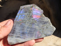 Polished One Side Polished Purple Flash Labradorite Slabs  x 12 From Tulear, Madagascar