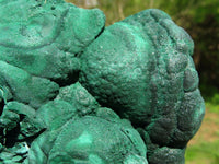 Natural Botryoidal Malachite Floater Nodule Specimen x 1 From Kolwezi, Congo - TopRock