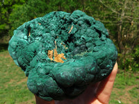 Natural Botryoidal Malachite Floater Nodule Specimen x 1 From Kolwezi, Congo - TopRock