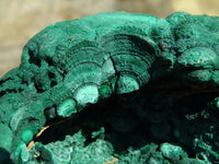 Natural Botryoidal Malachite Floater Nodule Specimen x 1 From Kolwezi, Congo - TopRock