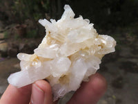 Natural Small Mixed Quartz Clusters  x 35 From Madagascar - TopRock