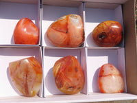 Polished Stunning Bright Contrasting Carnelian Agate Standing Free Forms  x 6 From Madagascar - TopRock