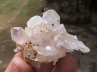 Natural Small Mixed Quartz Clusters  x 35 From Madagascar - TopRock