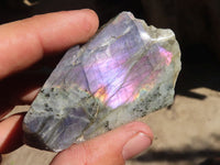 Polished One Side Polished Purple Flash Labradorite Slabs  x 12 From Tulear, Madagascar