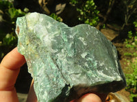 Natural Rough Green Jade Specimens  x 12 From Swaziland - Toprock Gemstones and Minerals 