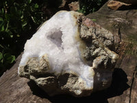 Natural Extra Large Pale Blue Lace Agate Geode  x 1 From Malawi - TopRock