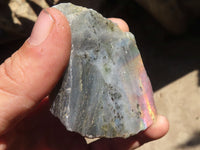 Polished One Side Polished Purple Flash Labradorite Slabs  x 12 From Tulear, Madagascar