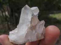 Natural Small Mixed Quartz Clusters  x 35 From Madagascar - TopRock