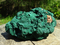 Natural Botryoidal Malachite Floater Nodule Specimen x 1 From Kolwezi, Congo - TopRock