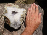 Natural Extra Large Pale Blue Lace Agate Geode  x 1 From Malawi - TopRock