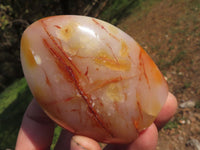 Polished Stunning Bright Contrasting Carnelian Agate Standing Free Forms  x 6 From Madagascar - TopRock