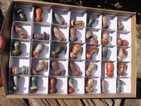 Polished Small Polychrome Jasper Mushrooms  x 35 From Madagascar