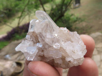 Natural Small Mixed Quartz Clusters  x 35 From Madagascar - TopRock