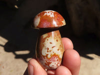 Polished Small Polychrome Jasper Mushrooms  x 35 From Madagascar