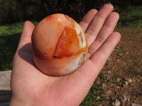 Polished Stunning Bright Contrasting Carnelian Agate Standing Free Forms  x 6 From Madagascar - TopRock