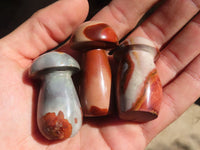 Polished Small Polychrome Jasper Mushrooms  x 35 From Madagascar