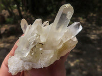 Natural Small Mixed Quartz Clusters  x 35 From Madagascar - TopRock