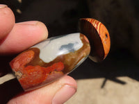 Polished Small Polychrome Jasper Mushrooms  x 35 From Madagascar