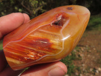 Polished Stunning Bright Contrasting Carnelian Agate Standing Free Forms  x 6 From Madagascar - TopRock