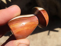 Polished Small Polychrome Jasper Mushrooms  x 35 From Madagascar