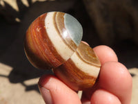 Polished Small Polychrome Jasper Mushrooms  x 35 From Madagascar