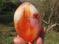 Polished Stunning Bright Contrasting Carnelian Agate Standing Free Forms  x 6 From Madagascar - TopRock