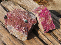 Natural Pink Salrose Cobaltion Dolomite Specimens  x 6 From Kakanda, Congo