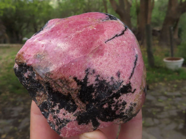 Polished One Side Polished Rhodonite Free Forms  x 4 From Ambindavato, Madagascar - TopRock